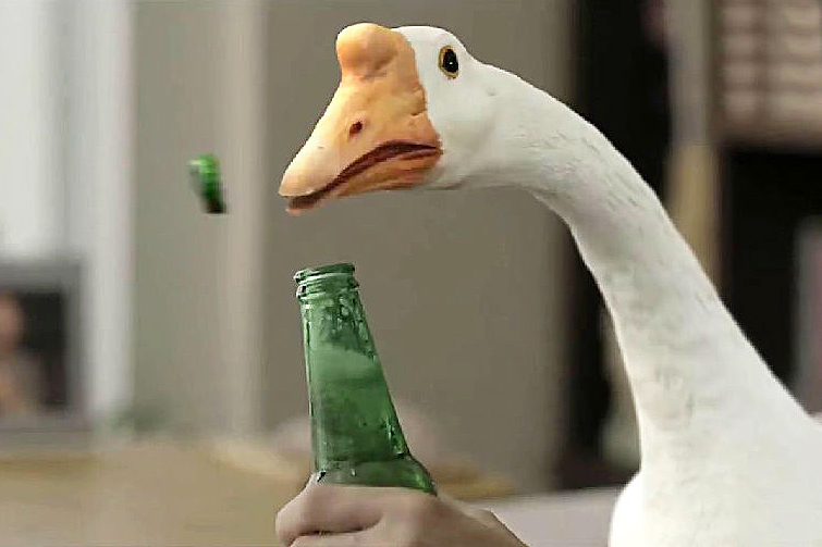 Goose Afa Quacks Some New Chinese Humour | SHP Plus
